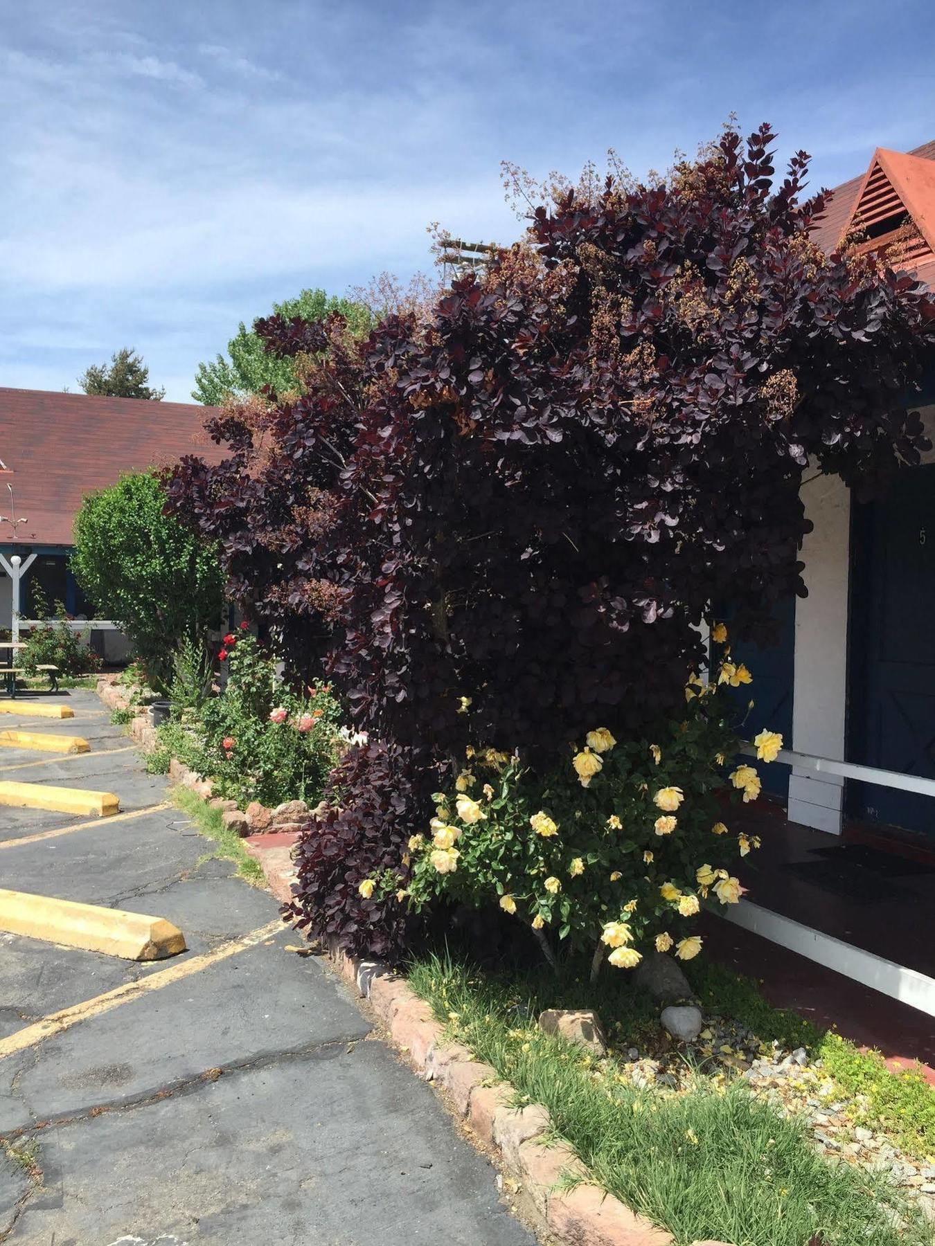 Townhouse Motel 비숍 외부 사진
